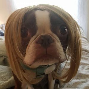 Meet your Posher, Heather